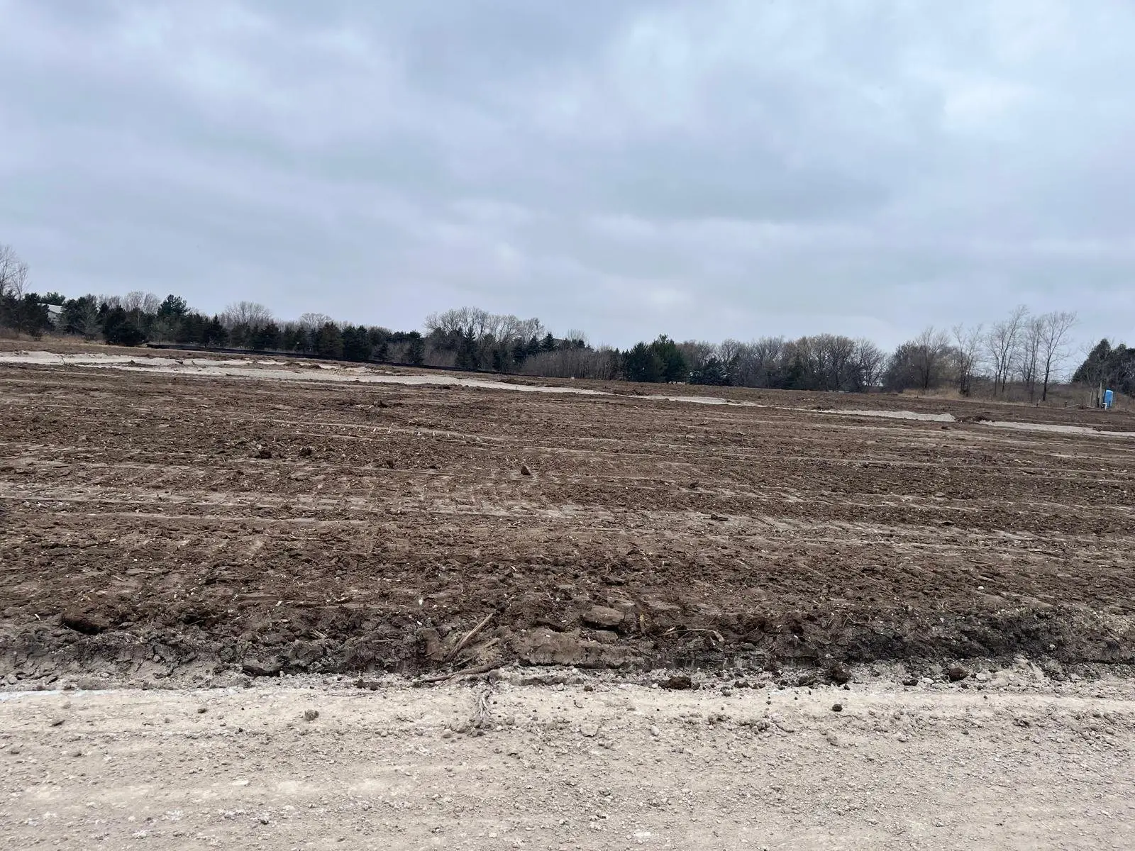 Phase 1 site work, March 2025 — earthwork, grading and road building (photo 3)